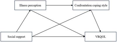 Effects of social support on vision-related quality of life in older adults with dry eye disease: the chain mediating role of illness perception and coping style